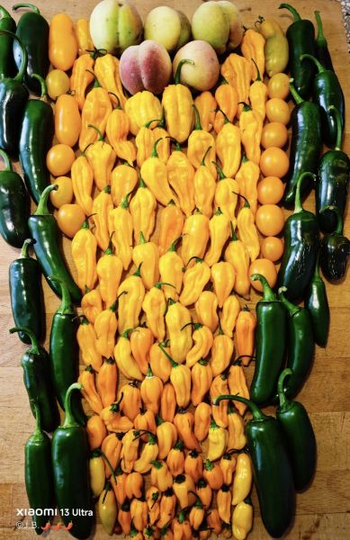 526900614_30552502214398470_5243433840727872376_n