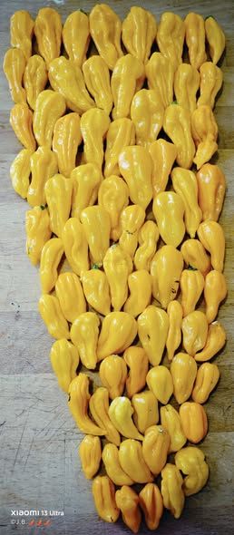 530249716_30661788353469855_2579173057207108903_n