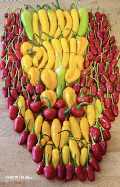 533029286_30754592757522747_6149419713477741309_n