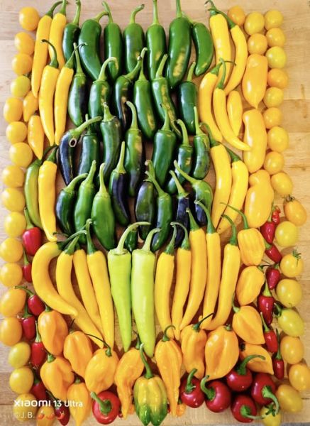 536271453_30876733115308710_4877625386736222972_n