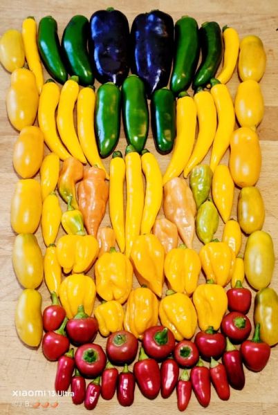 546224263_31196606459988039_1259988955485744545_n