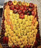 546475693_31144783138503705_5193187598208294373_n