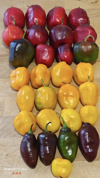 571988372_31923886517260026_8267582665308358728_n