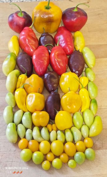 583324963_32283686454613362_505006318184310115_n