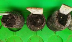 34fea9f1-ed52-4db4-8169-03436b7d5c2d