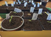 pondělí ‎9. ‎března ‎2026 (1)