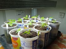 2026_03_12 ---- 08 - 21 - 26_004