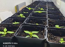 650275376_34148416944806961_2817722980376482611_n