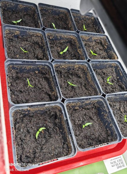 649272366_34148417818140207_7523425137515332616_n