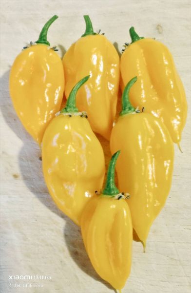 652971401_34217861111195877_4124763736219988135_n