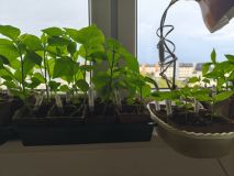IMG_20260511_164628