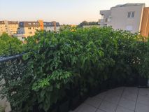 IMG_20260804_193223