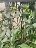 IMG_20260826_131946