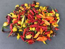 IMG_20260922_181007