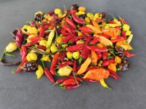 IMG_20260922_181012