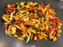 IMG_20261005_194750