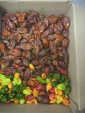 IMG_20261030_165320