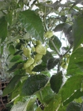 P7110700