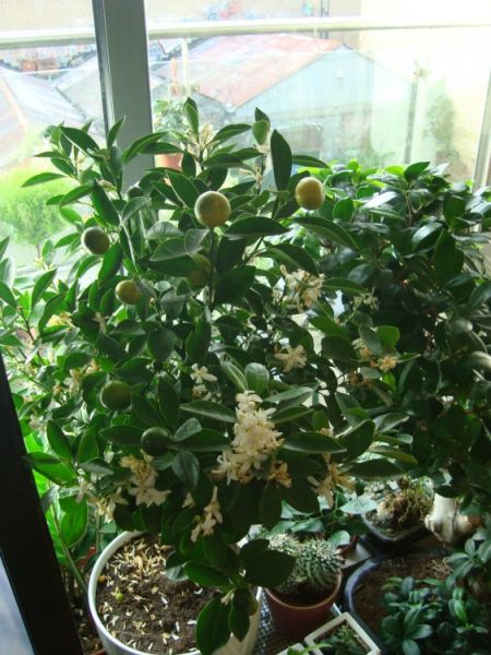 DSC01605