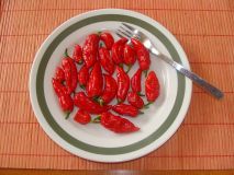 naga morich plate