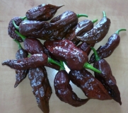 Bhut Jolokia Chocolate